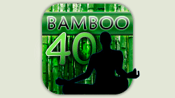 bamboo 40 pic